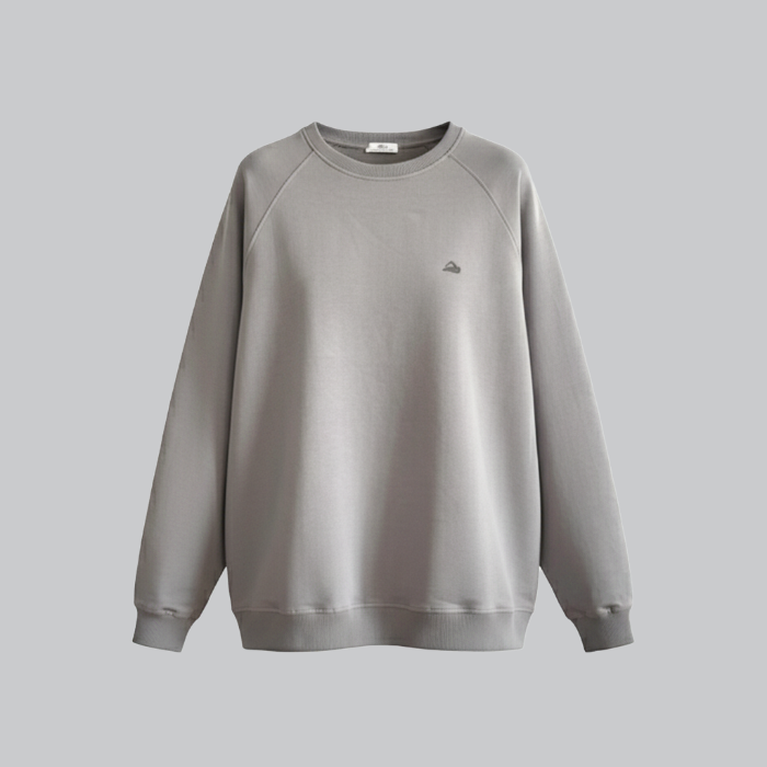 تصویر  سوییشرت زنانه برند آلیوا | ALIVA آستین رگلان